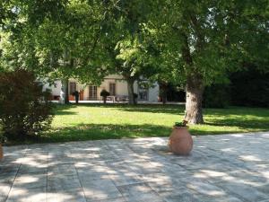 Mas des Bécasses en campagne, 15 min d'Arles, 10 personnes