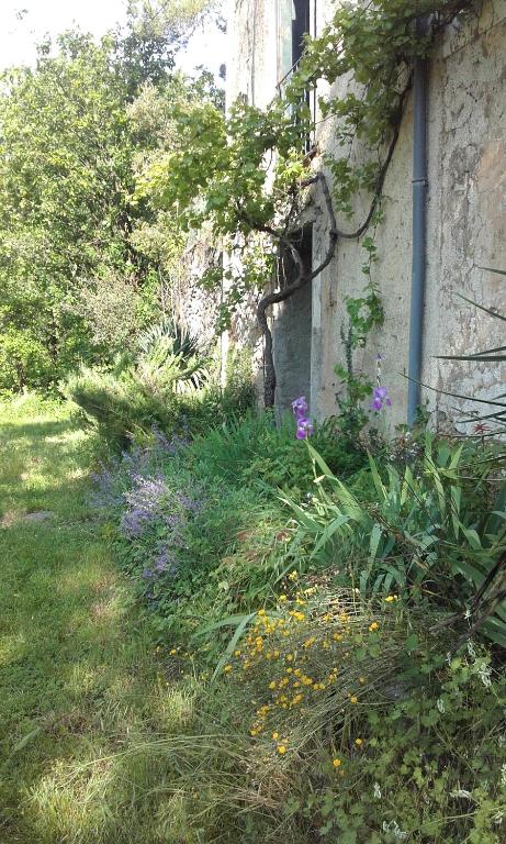 Mas Ferrieres Ferrières et l'Invis, 30440 Saint-Laurent-le-Minier