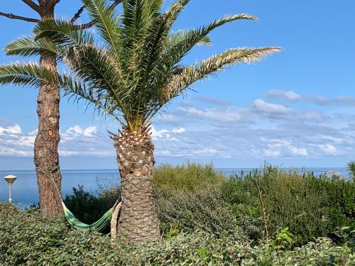 Mini villa climatisée - Vue mer - Mer à 50 m - Jardin et 2 terrasses 300 m2