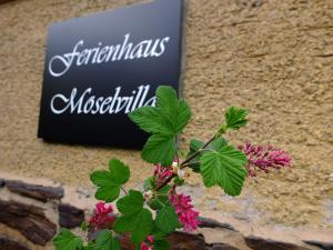 Moselvilla Enkirch