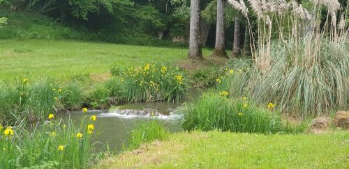 Moulin de l'Enéa, XVIIème, vue rivière et sur beau parc aboré 2,2 hectares.