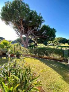 MouraAccomodation & Golf