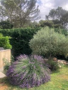 New villa for rent, Domaine de Golf de Pont Royal