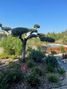 Nid de rêves jacuzzi en Provence