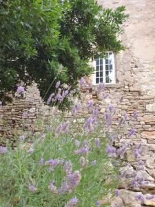 Villa Partie de Château du XI ieme à Canet d'Aude 6 cour du chateau 11200 Canet d\'Aude Languedoc-Roussillon