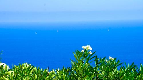 Villa Pétale de Rose Cavalaire-sur-Mer france