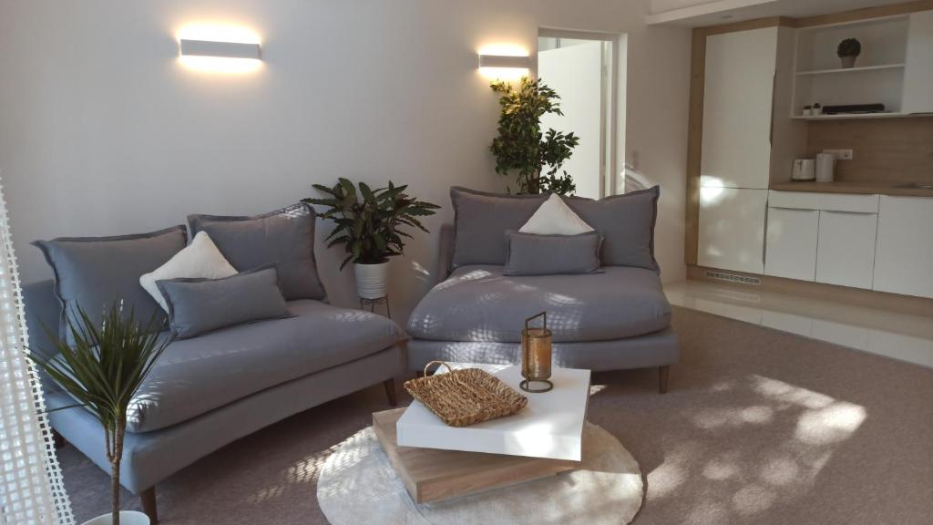 Villa Petite propriété de prestige proche de Paris 35 Avenue Pasteur 94420 Le Plessis-Trévise