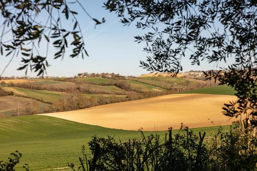 Maisons de vacances Villa Peyrigué Lieu dit Le Peyrigué Seysses-Savès