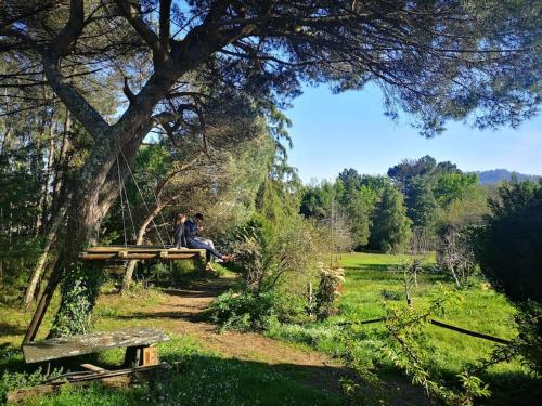 Pine Lodge - luxurious bungalow in nature