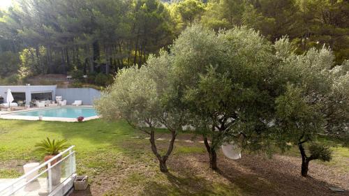 Prestigieuse villa au coeur des vignes - Roquefort-la-Bédoule