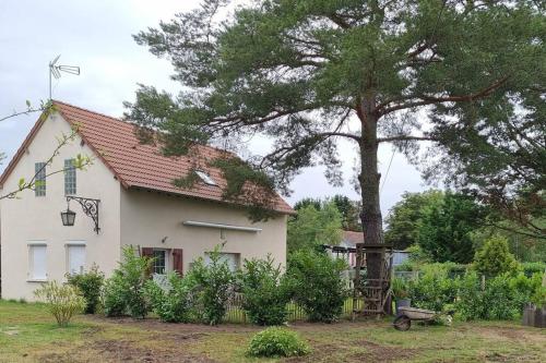 proche chateaux et zoo de beauval: gîte de sologne