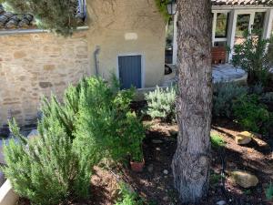 Provence Dream Chalet