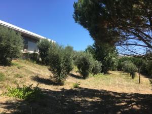 Quinta da Marialva