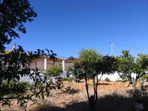 Quinta do Amendoal o melhor da Natureza no Algarve