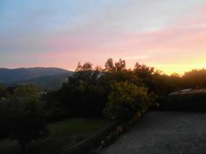 Quinta do Cerrado - Douro, conforto em casa rural