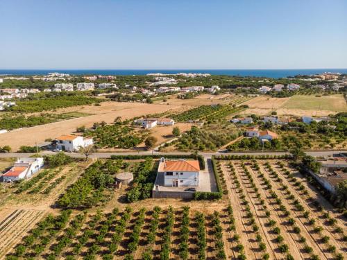 Villa Villa Ramos Estrada de Vale Carro Albufeira