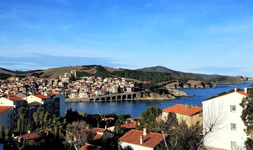 Regina's Banyuls - Les Hibiscus