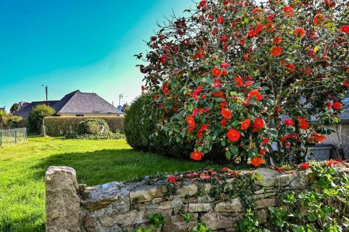 Résidence Ar Veades-trebeurden - Maisons & Villas pour 4 Personnes 684