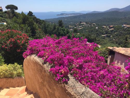 Villa Sans Pareil La Croix-Valmer france