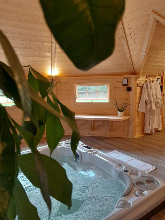 Spacieuse Villa Niçoise au calme avec piscine
