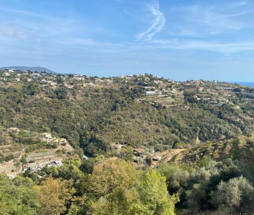 Spacieuse Villa Niçoise au calme avec piscine