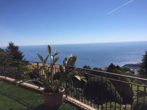 Villa Spacious Provençal Guesthouse with amazing Monaco & Sea View Chemin de Giram 205 06320 La Turbie Provence-Alpes-Côte d\'Azur