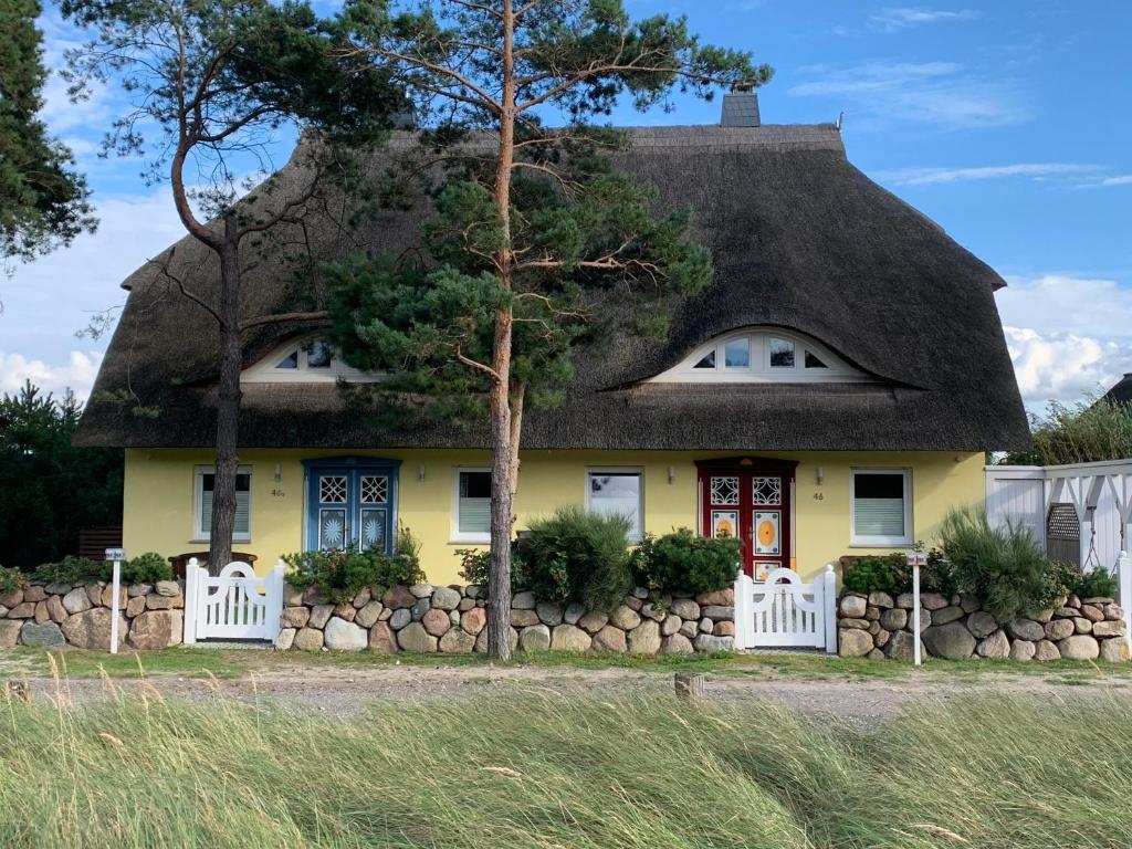 Villa Strandvilla Dolce Vita und Meer 46 Fischländer Weg 18347 Dierhagen