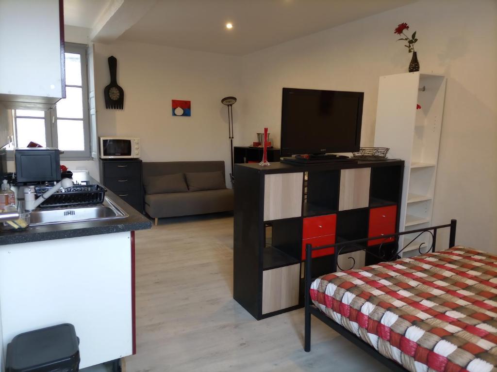 Studio Occitanie 20 m2 tout équipé avec jardin 31600 Muret