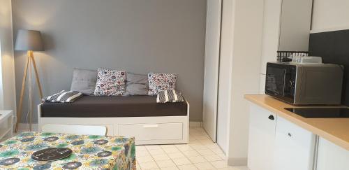 Studio rénové au centre de TREGASTEL à 150m de la plage du Coz-Pors - Ref 480