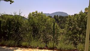 Stunning view in Cathar country