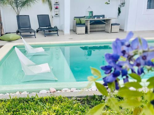 Susy’s Garden