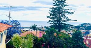 Susy’s Garden