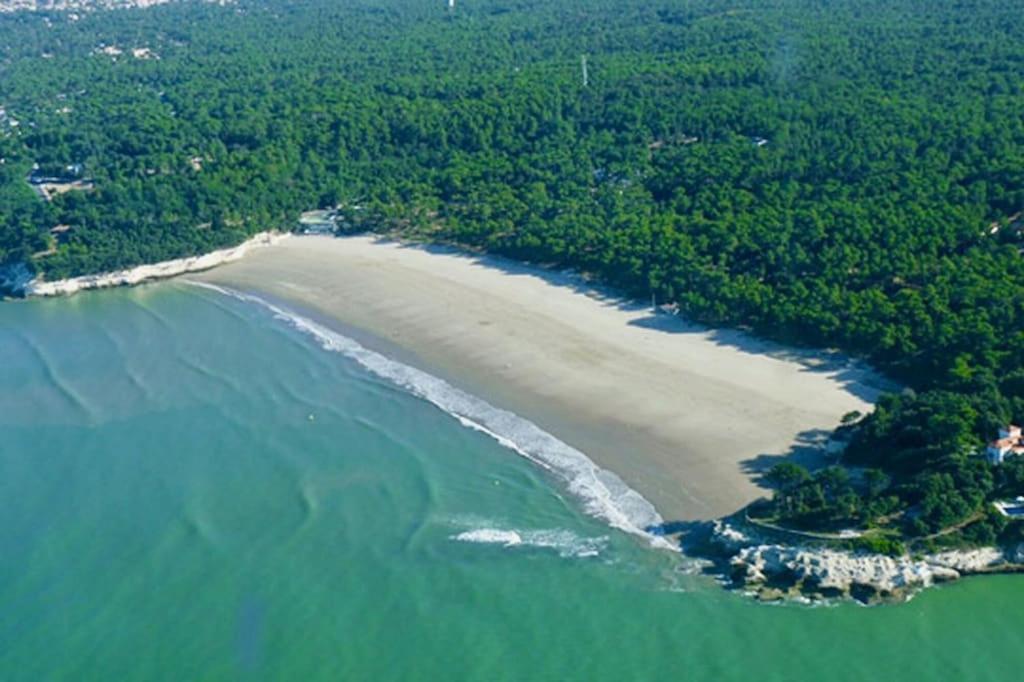 Villa Villa tout confort DIRECT PLAGE, pour les amoureux de la nature... Allée des Mouettes, 17132 Meschers-sur-Gironde