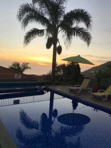 Tropical Villa