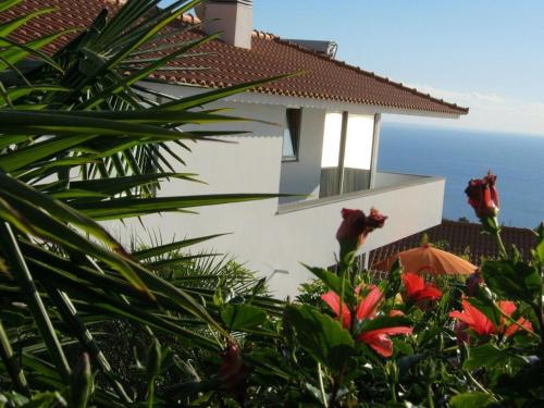 Tropical Villa