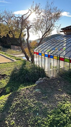 Type Provençal
