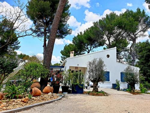 UN OASIS EN PROVENCE