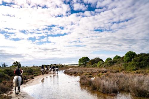 Une maison en Camargue