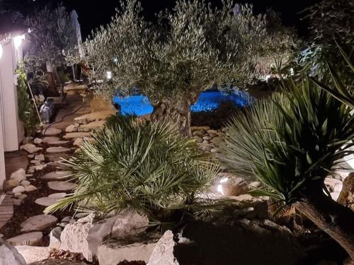 Une Oasis au Pays de Cézanne