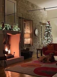 Uniquely Private Holiday Villa in the Charente