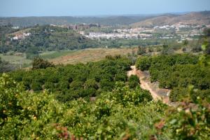 Vila Dria
