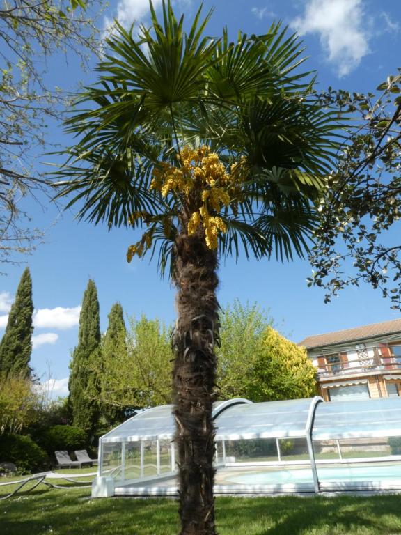 Vila Sul - Dream Lodging
