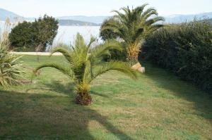Villa Villa Aigue Marine lieu dit Verghia allée des platanes 20138 Coti-Chiavari Corse