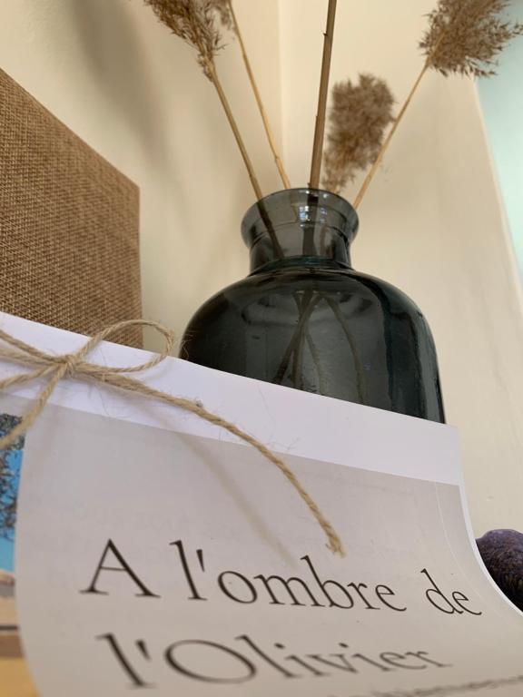 Villa Amandiers YourHostHelper 33510 Andernos-les-Bains