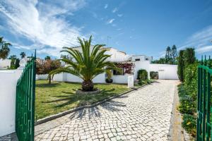 Villa Amizade
