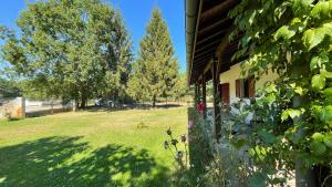 Villa au milieu des pins / bord du lac