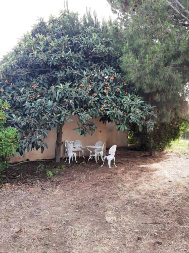 Villa avec grand Jardin arboré et grande terrasse NOTA Draps fournis pour résa semaine seulement