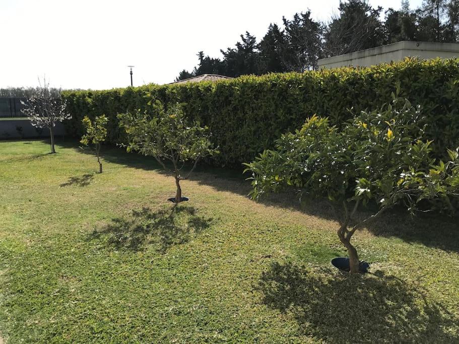 Villa Villa avec piscine à proximité de la plage Lieu dit Pietrabiu Résidence Sant Anghjulu 20290 Lucciana