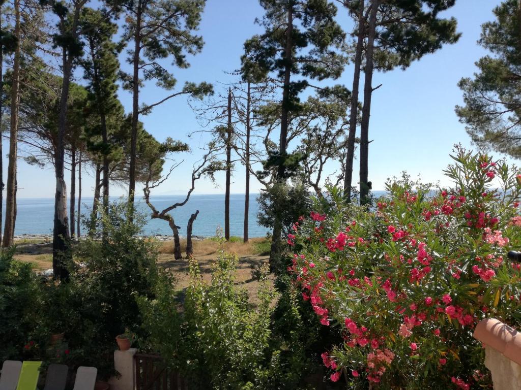 Villa Villa bord de mer Corse 9 vanga di l'oru 20221 Santa-Maria-Poggio