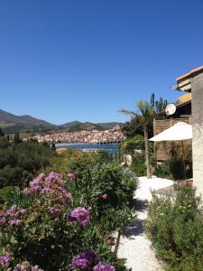 Villa Villa Bougainvilliers S/N Impasse Des Bougainvilliers 66650 Banyuls-sur-Mer Languedoc-Roussillon